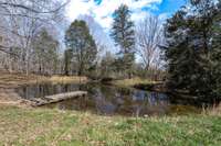 Lets go fishing in your own pond