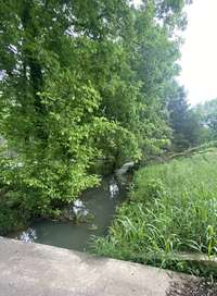 Trickling creek on property