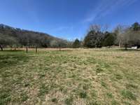 It has a gorgeous open space with trees