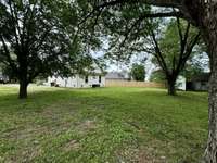 Spacious backyard with mature trees