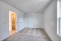 *Photos are of model home and some selections may vary.