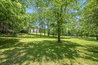 "The grove" in your backyard... complete with a hammock.