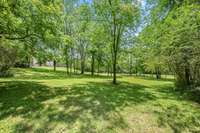 The perfect balance of cleared and shade trees.