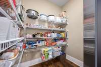 Another look at the kitchen pantry.