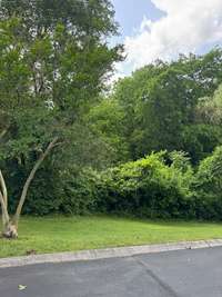 This kind of greenery surrounds the complex. Unit B30 has a balcony (not pictured) overlooking lush greenery.