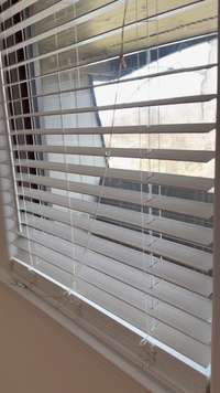 Two inch blinds throughout, as well as updated light fixtures/fans