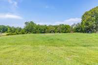 Looking toward the back line of the property. Freshly cleaned up!
