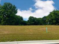 Beautiful Treed Homesite