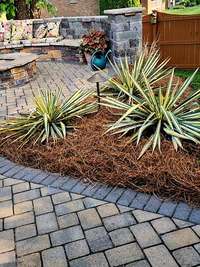 More meticulous landscaping - but you have the irrigation system too!