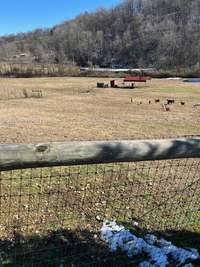 VIEW OF VALLEY AND PASTURE