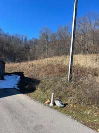 BACK OF PROPERTY