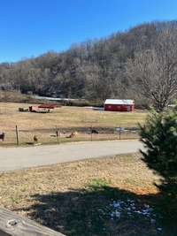 VIEW FROM DECK