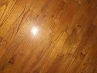 Original hardwood flooring in bedrooms.