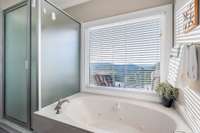 Jetted tub with a view.