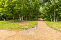 Miles of trails cut into the woods...