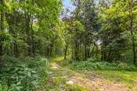 There are miles of trails that meander through the upper acres... take a relaxing stroll around and watch the wildlife