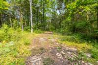 Do you enjoy the peace that nature offers?