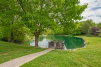 Neighborhood pond!