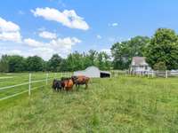 Side pasture with goat barn (or whatever you'd like to use it as)