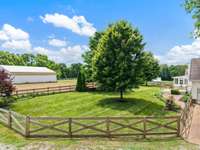 Backyard fenced for a dog