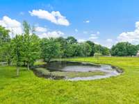 Front pasture with pond