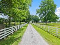 Front driveway in, pasture to the right