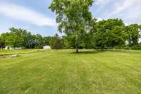 Level and spacious yard!