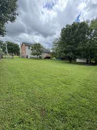 Awesome backyard for family gathering.