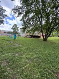 Lots of room to roam in the back yard with mature shade trees.