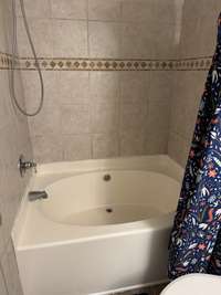 Garden tub with custom tile shower.