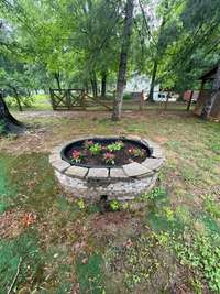 Lots of greenery and plants located on the property