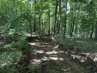 Horse, hiking, and ATV trails, winding through scenic terrain.