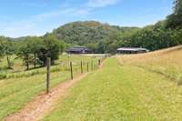 Cleared paths around the property.