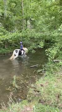 Horseback through the creek, where every splash writes a memory.