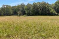 The options to hunt, fish, horseback ride, ATV ride are endless on this property.
