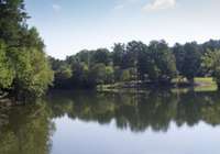 Adam's Preserve is located less than 5 minutes from Bowie Park and Nature Center. There you can take in the sites while enjoying over 17 miles of hiking or fishing at one of their many lakes!