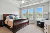 Bright and serene primary suite on the main level featuring elegant tray ceilings, abundant natural light, and peaceful views of the backyard - your private retreat awaits!