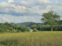 View from the end of Carrie Ln