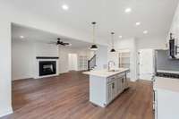 Kitchen/Family Room