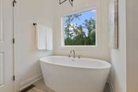 Primary standing tub