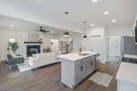 Kitchen/Family View