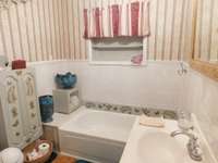 Second Bath, single vanity, the Guests use mostly