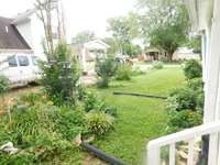 Side view of Garden annuals