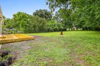 back yard
