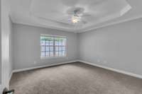 Primary bedroom on main with trey ceiling and new carpet. Windows overlook decking on back patio.