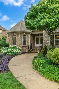 A walkway surrounded by beautiful shrubs.