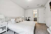 Downstairs Guest Suite