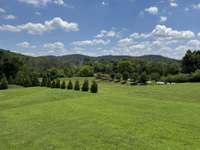 Rare Large private backyard backing up to deeded green space with amazing views of the Tennessee hills