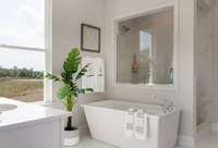 All interior photos are of a model home in another community.  Interior and exterior colors and features will be different.