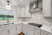Kitchen features New Electric Cooktop, Hood Vent, Stainless Sink and Upgraded Faucet.